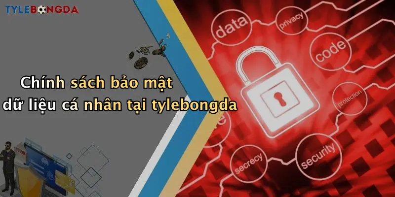Chính sách bảo mật dữ liệu cá nhân tại tylebongda