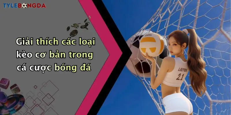Giải thích các loại kèo cơ bản trong cá cược bóng đá