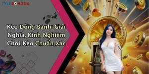 Kèo Đồng Banh: Giải Nghĩa, Kinh Nghiệm Chơi Kèo Chuẩn Xác