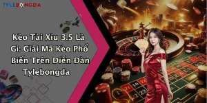 Kèo Tài Xỉu 3.5 Là Gì: Giải Mã Kèo Phổ Biến Trên Diễn Đàn Tylebongda